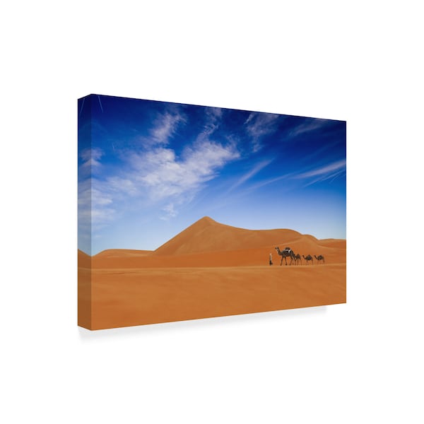 Hesham Alhumaid 'Desert Life' Canvas Art,16x24